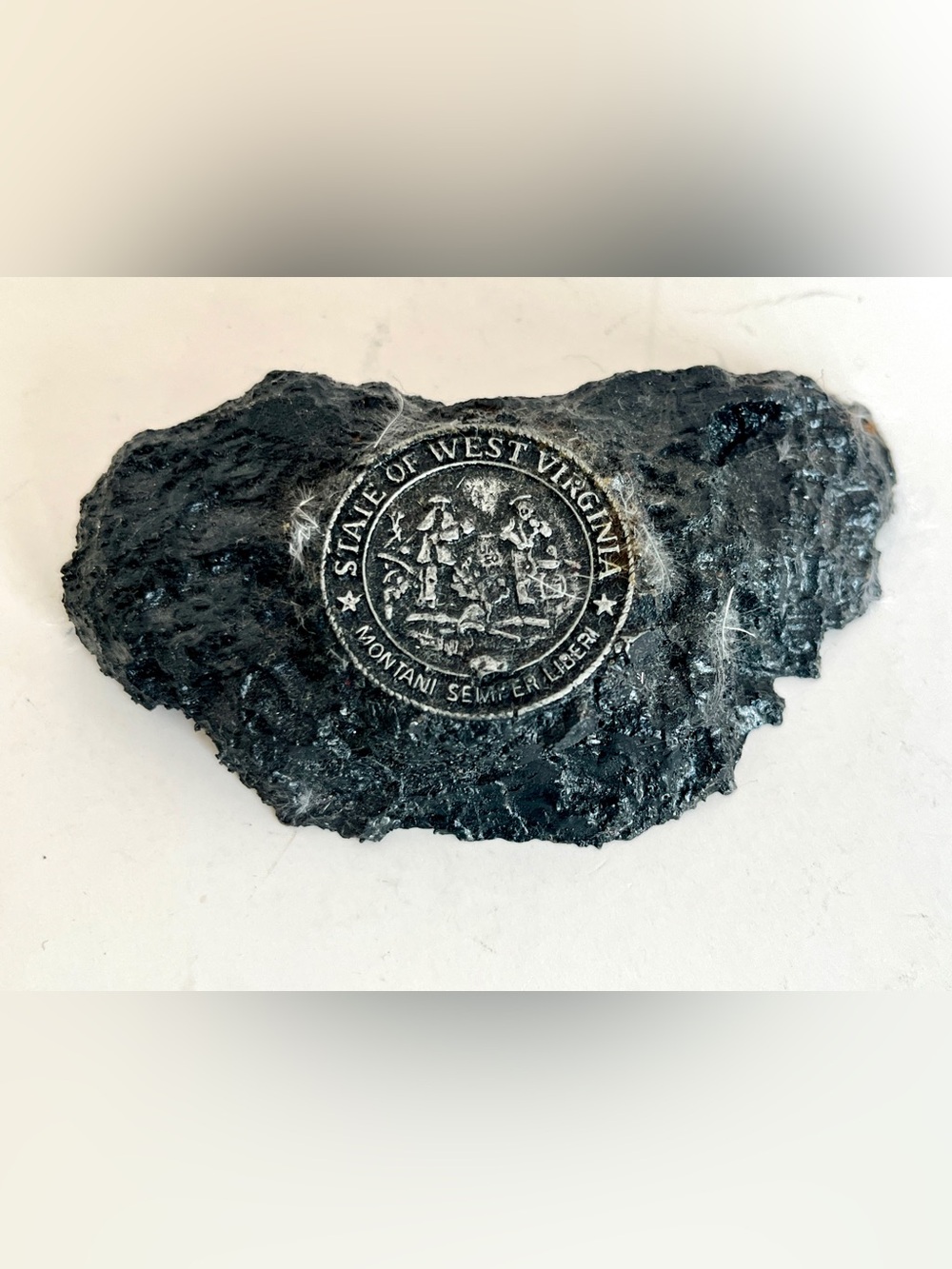 West Virginia Seal Black Decorative Wall Plaque
